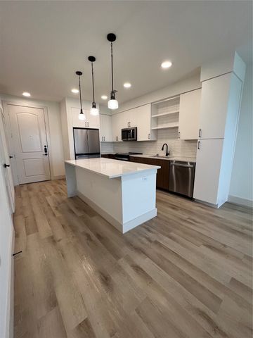 501 E College Street 1117, Lewisville, TX 75057