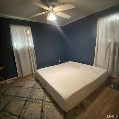 1534 Rue Chapelle, Bonne Terre, MO 63628