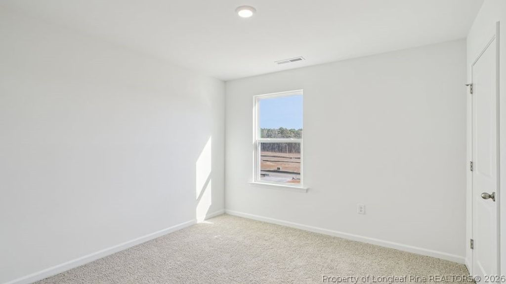 205 Rashford Way, Raeford, NC 28376 — photo 25