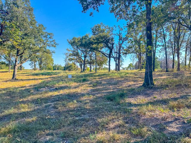 Lot 2 Bordeaux Lane, Corsicana, TX 75109