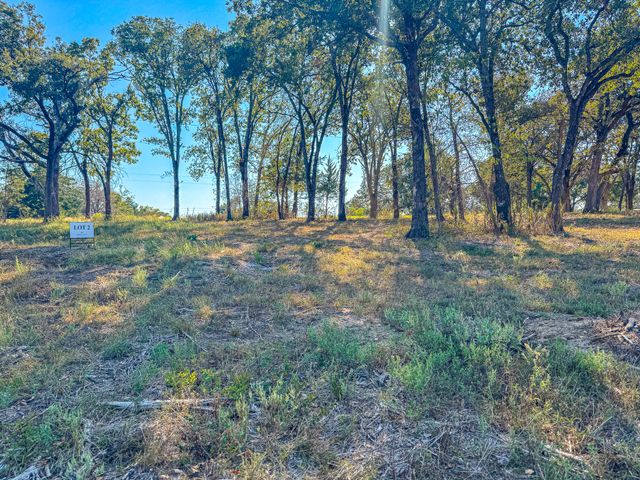 Lot 2 Bordeaux Lane, Corsicana, TX 75109