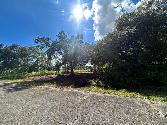 706 EUGENE CERNAN DRIVE, Labelle, FL 33935
