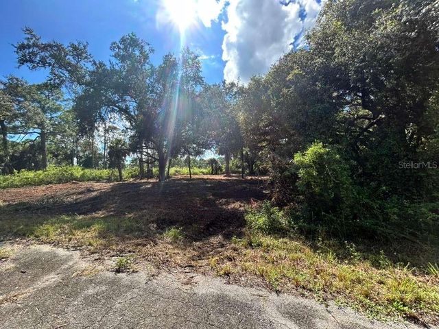 706 EUGENE CERNAN DRIVE, Labelle, FL 33935