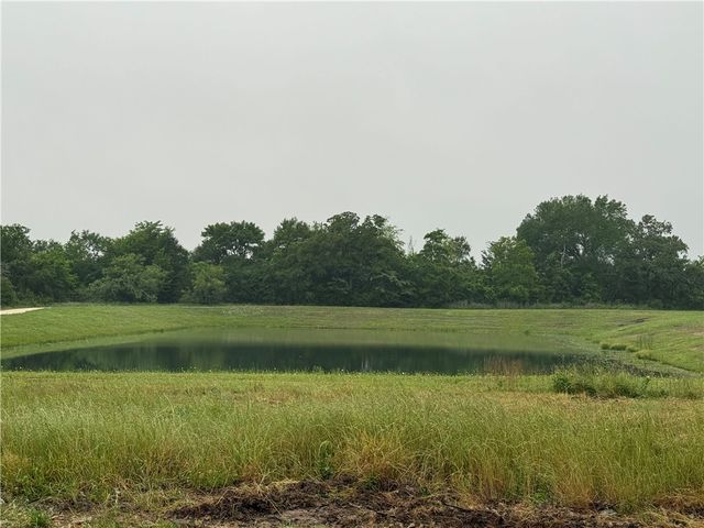 1046 Calaveras, College Station, TX 77845