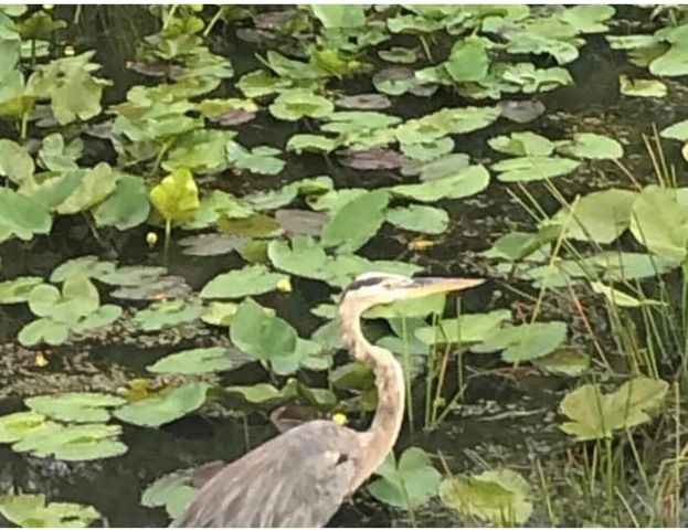 12770 Sugar Creek Drive, West Palm Beach, FL 33418