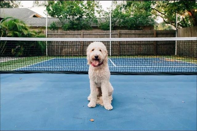 2705 N OAKDALE AVENUE, Tampa, FL 33602