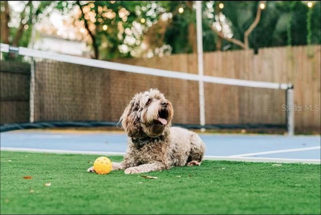 2705 N OAKDALE AVENUE, Tampa, FL 33602