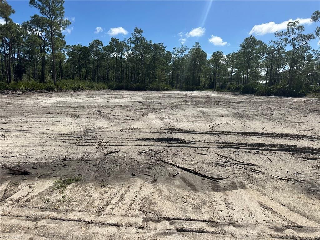 1504 Maple AVE N, LEHIGH ACRES, FL 33972 — photo 2
