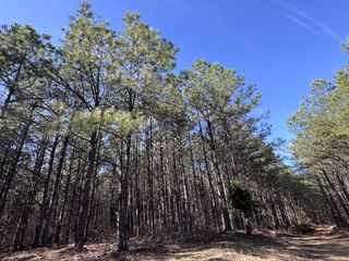 432 Liberty Ridge Road, Hohenwald, TN 38462