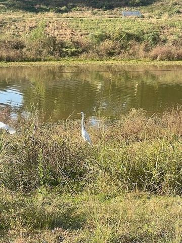 1517 Ramada Drive 1517, Houston, TX 77062