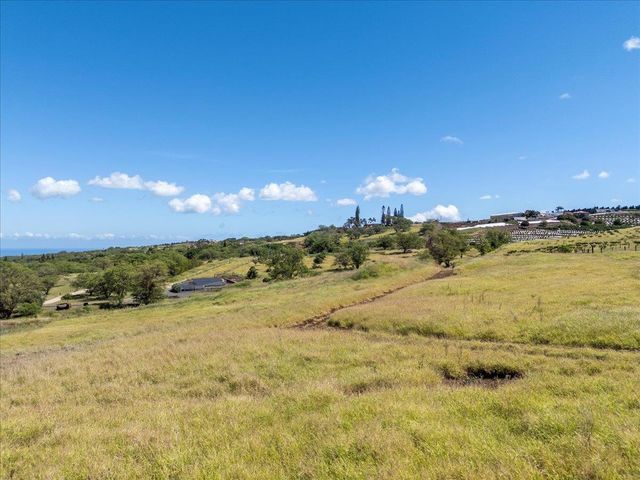 136 Ikena Kai Pl Lot G, Kula, HI 96790