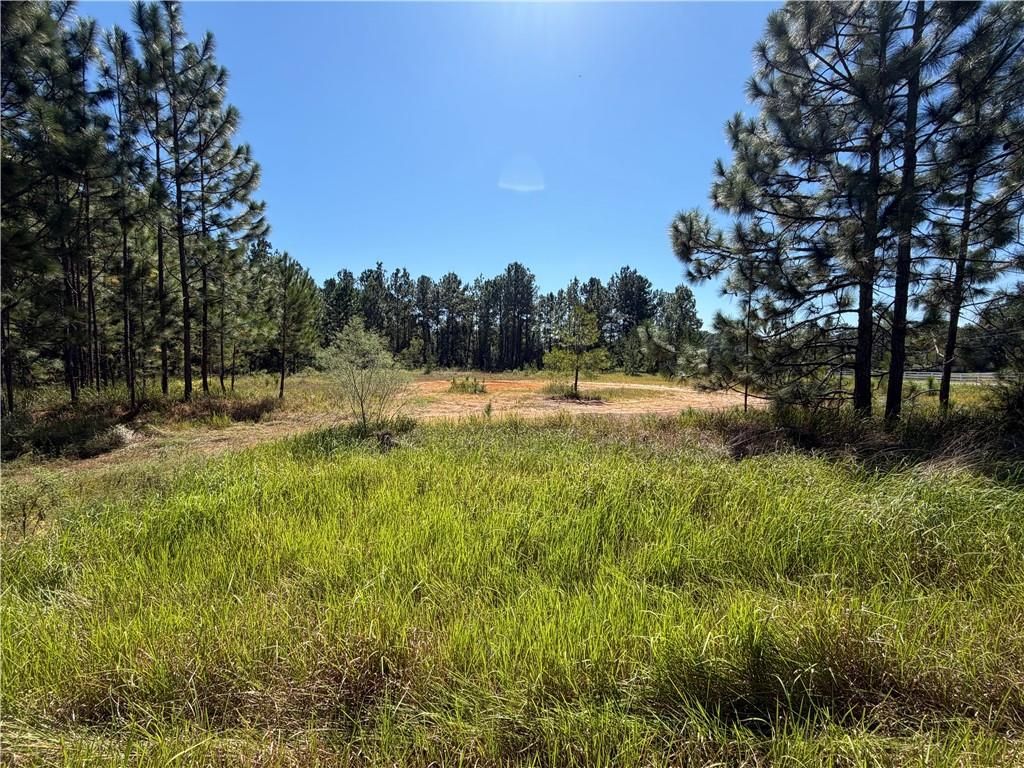 0 Schillinger Road S, Mobile, AL 36695 — photo 4