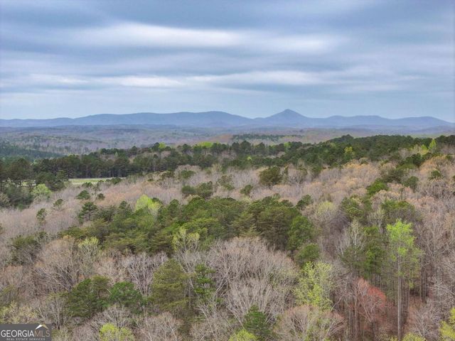 405 Wood Trace, Ball Ground, GA 30107