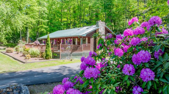 1263 Harbin Hill Road, Mountain City, TN 37683