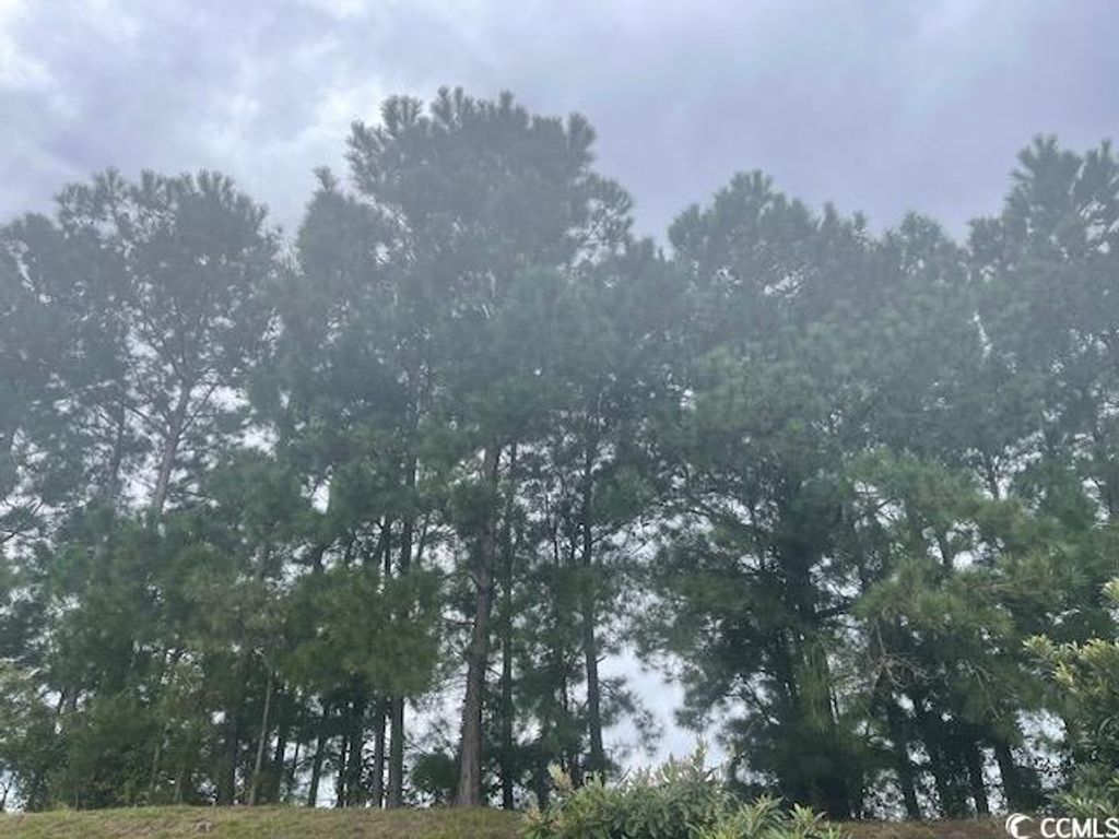 TBD Della Rd., Longs, SC 29568