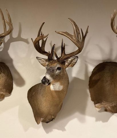 N13067 12TH AVENUE, Necedah, WI 54646