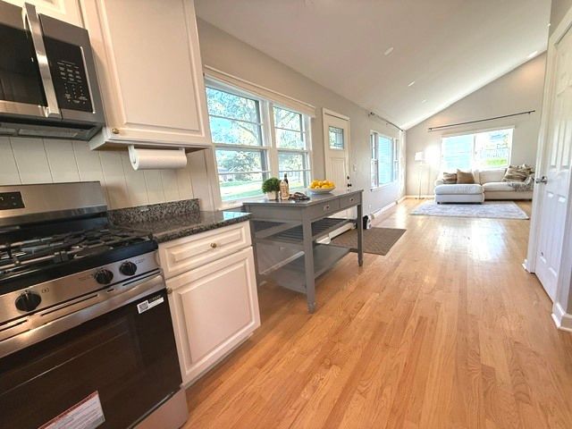 1445 N Webster Street, Naperville, IL 60563