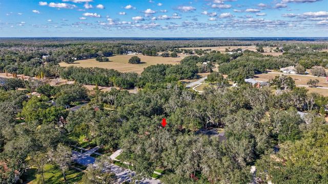6022 HAMMOCK HILL AVENUE, Lithia, FL 33547