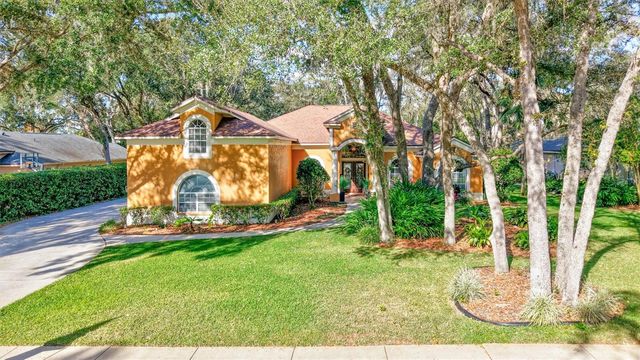 6022 HAMMOCK HILL AVENUE, Lithia, FL 33547