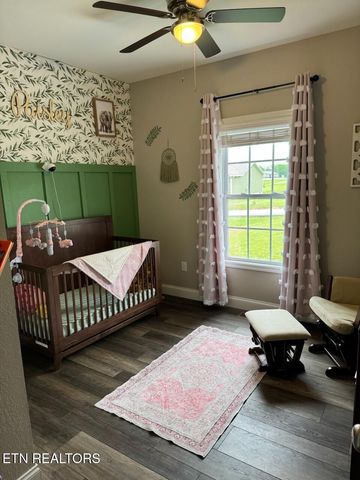 106 Maca Ridge Circle, Clarkrange, TN 38553