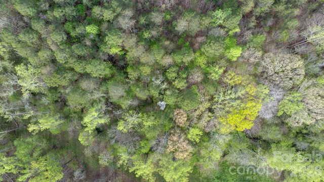 0 Flowing Ivy Lane 8, Claremont, NC 28610