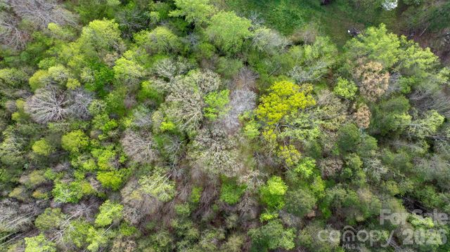 0 Flowing Ivy Lane 8, Claremont, NC 28610