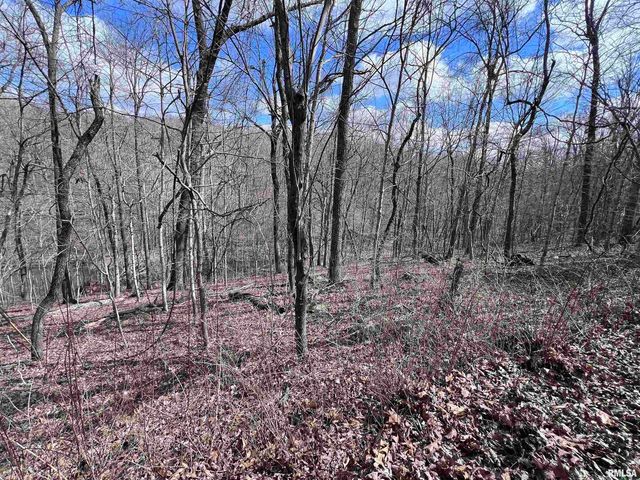 00 DEER RIDGE Road, Goreville, IL 62939