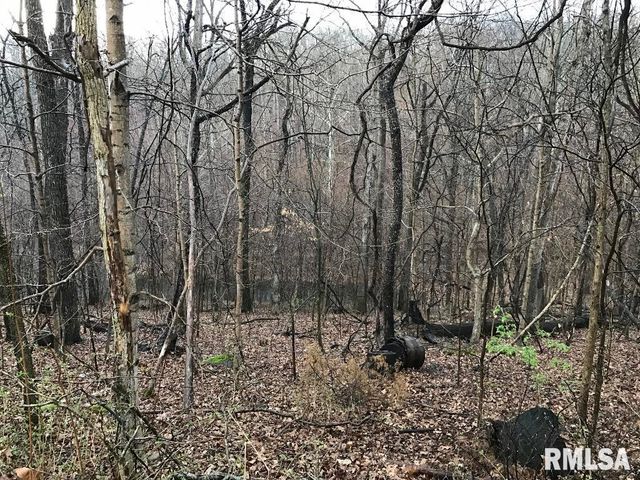 00 DEER RIDGE Road, Goreville, IL 62939