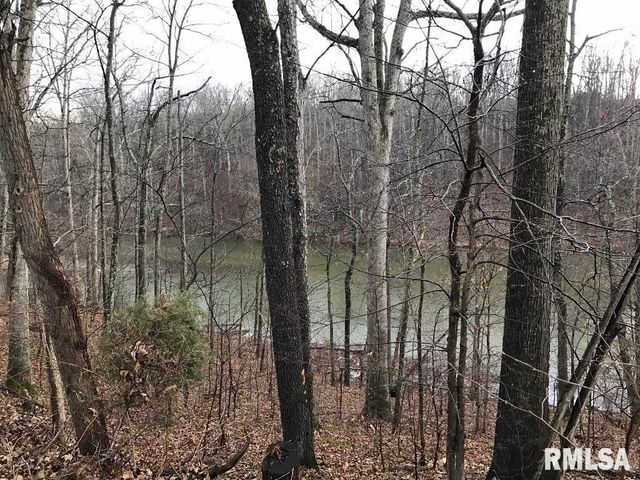 00 DEER RIDGE Road, Goreville, IL 62939