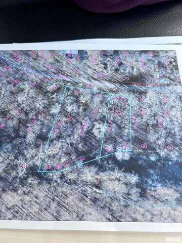 00 DEER RIDGE Road, Goreville, IL 62939