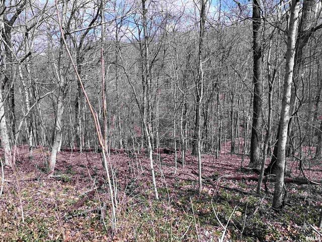 00 DEER RIDGE Road, Goreville, IL 62939