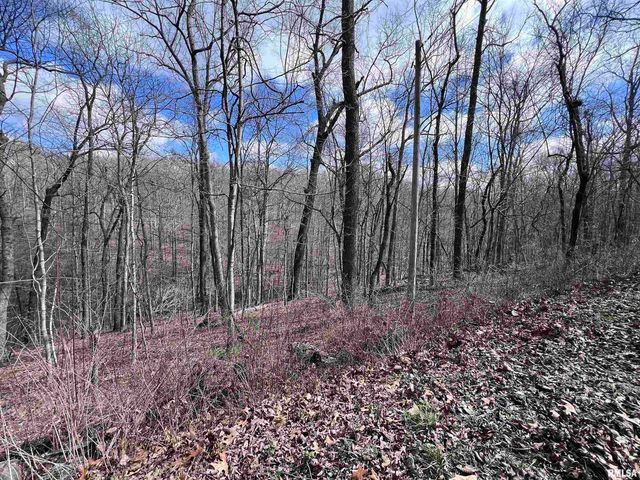 00 DEER RIDGE Road, Goreville, IL 62939