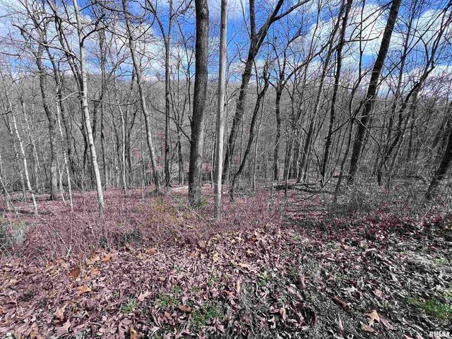 00 DEER RIDGE Road, Goreville, IL 62939