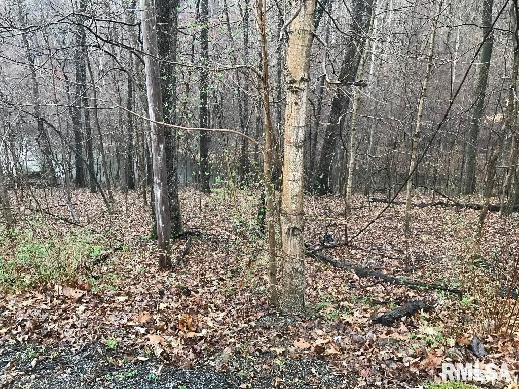 00 DEER RIDGE Road, Goreville, IL 62939