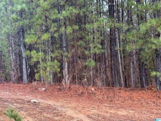 300 WILLOW LANE, Vincent, AL 35178