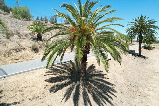 1 Palm Drive, Lake Elsinore, CA 92530