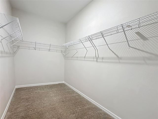 11828 CARA FIELD AVENUE, Riverview, FL 33579