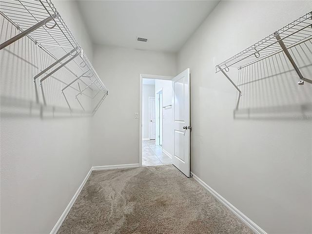 11828 CARA FIELD AVENUE, Riverview, FL 33579