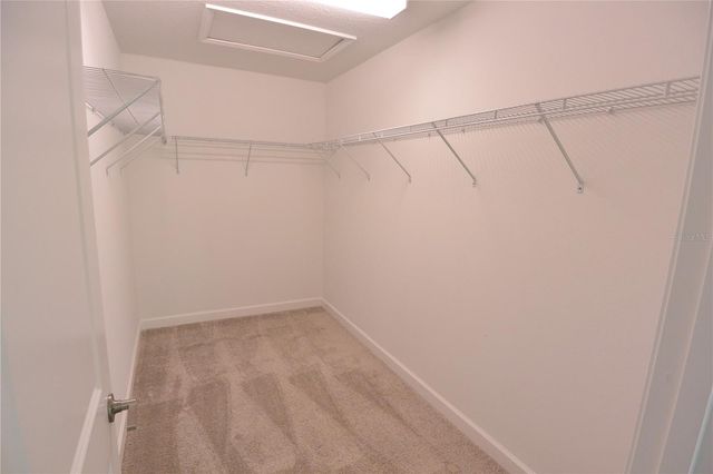 2277 CERULEAN SKY DRIVE, Lutz, FL 33558