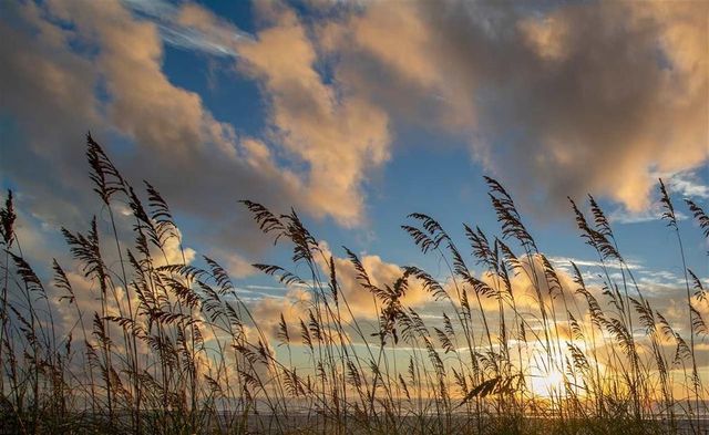 8 13th St, St Augustine Beach, FL 32080