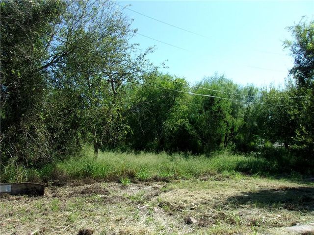 2007 Hermosillo Avenue, Alton, TX 78572