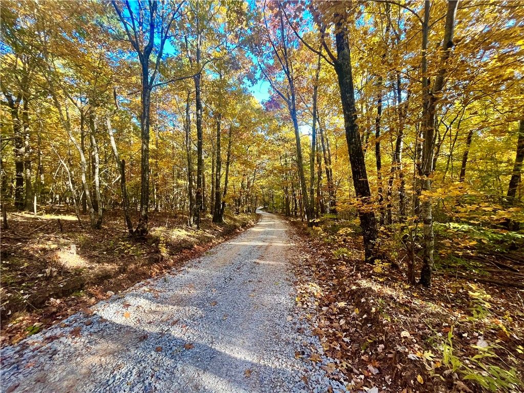 00 NC 8801, Jasper, AR 72641