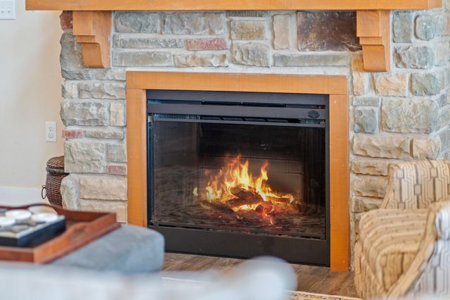 227 Songbird Circle 10, Indian Point, MO 65616