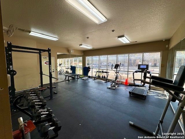 1127 Sundance Fall, San Antonio, TX 78245