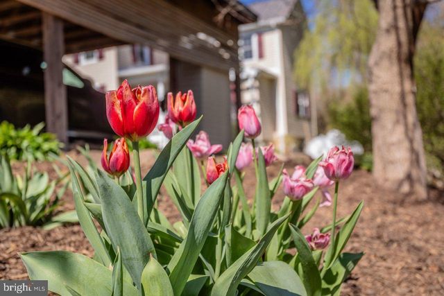 143 SCHEFFER GAP RD, Maurertown, VA 22644