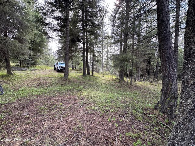 NKA 10 Acres, Plummer, ID 83851