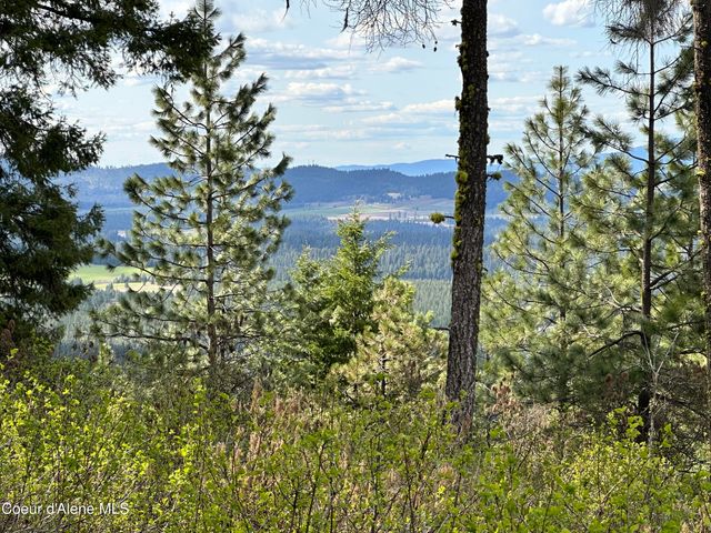 NKA 10 Acres, Plummer, ID 83851