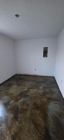 81 Lee's Ford Dock Road 1&2 Combined, Nancy, KY 42544