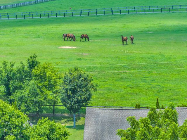 184 Saxony Way, Gallatin, TN 37066