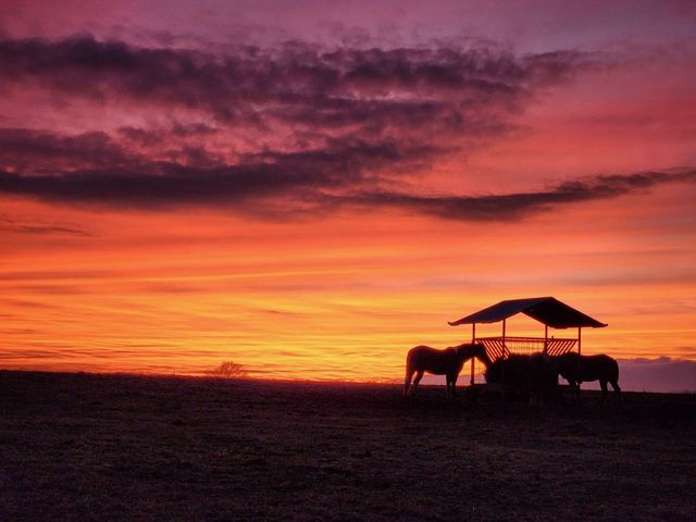 184 Saxony Way, Gallatin, TN 37066